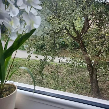 Relaks Апартаменты Рудник