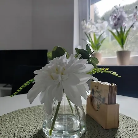 Relaks Апартаменты *